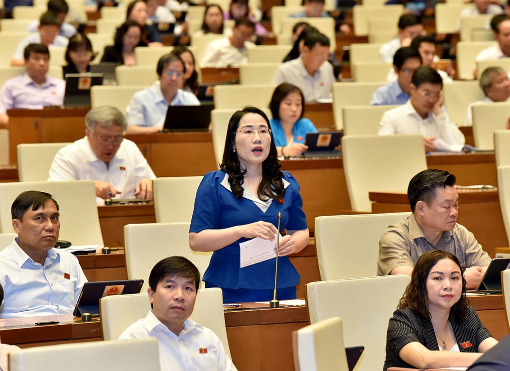 Tránh mâu thuẫn với các đạo luật liên quan -0