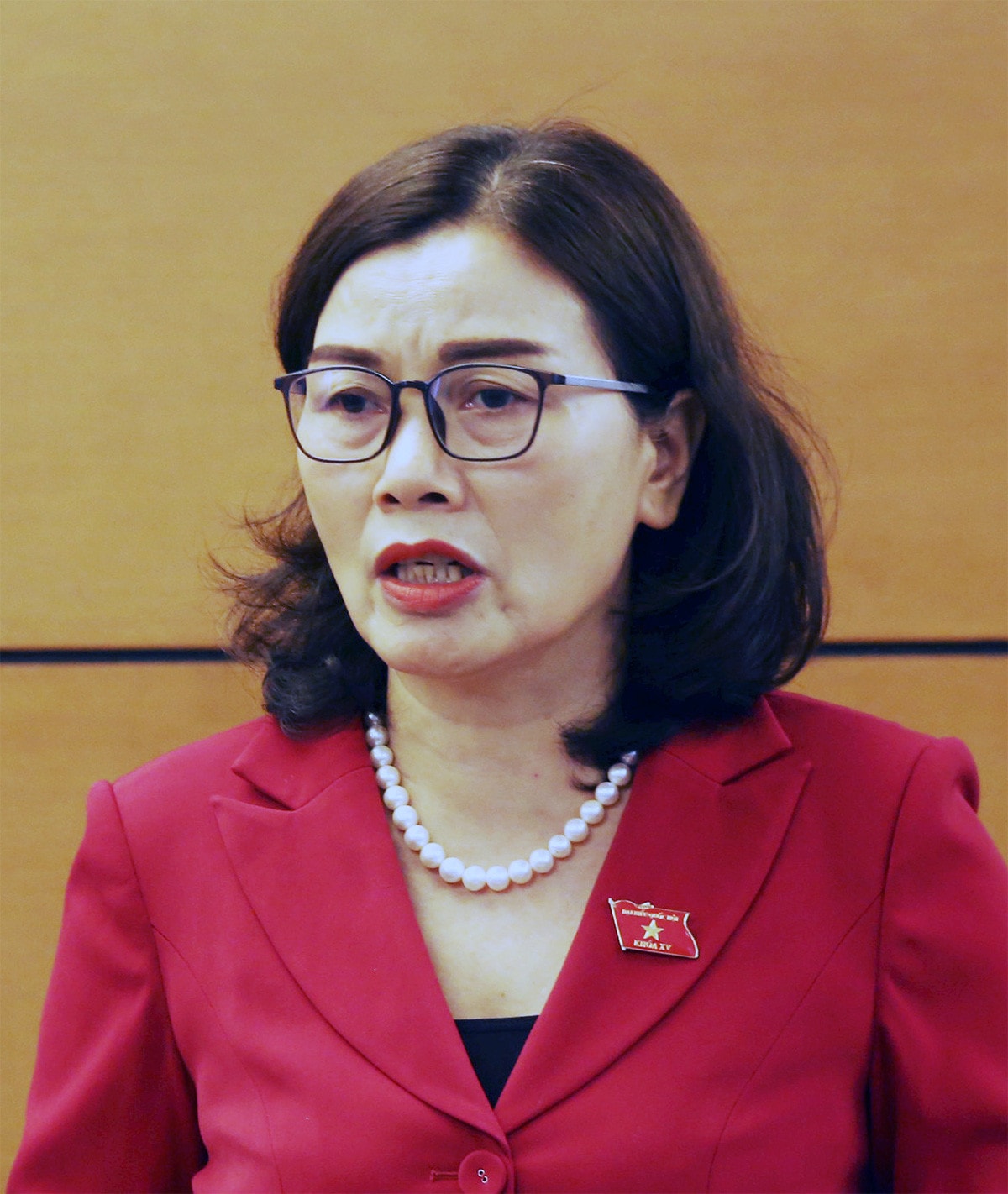 ĐBQH Nguyễn Thị Xuân: Gỡ những nút thắt để nền kinh tế phục hồi, phát triển -0