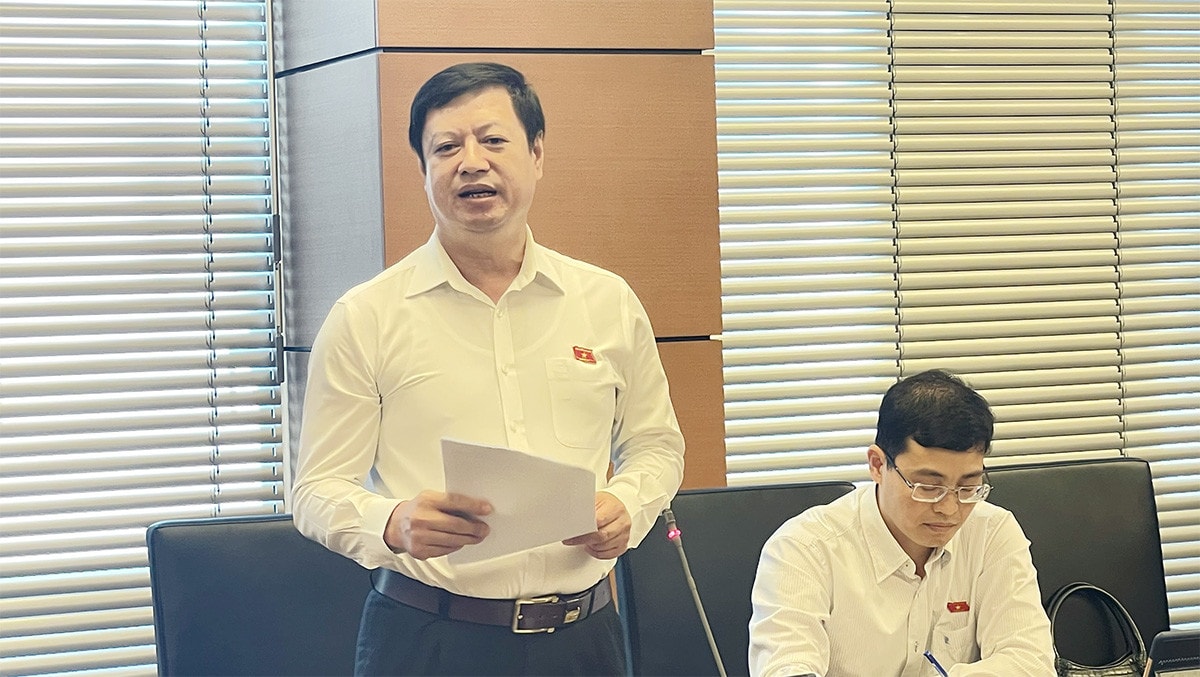 Thời hạn thị thực điện tử không quá 90 ngày sẽ hợp lý hơn -2