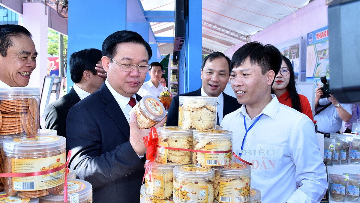 Chủ tịch Quốc hội Vương Đình Huệ: Biến thách thức thành khát vọng phát triển, sớm xây dựng Hà Tĩnh thành tỉnh khá -5