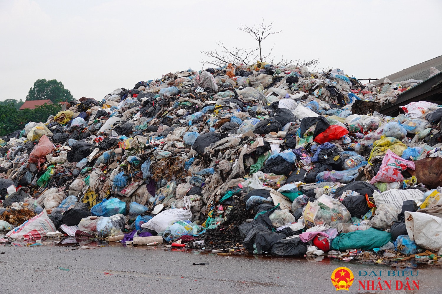 Bắc Giang: Cử tri bức xúc vì bãi rác “khủng” bốc mùi hôi thối, án ngữ giữa khu đông dân cư