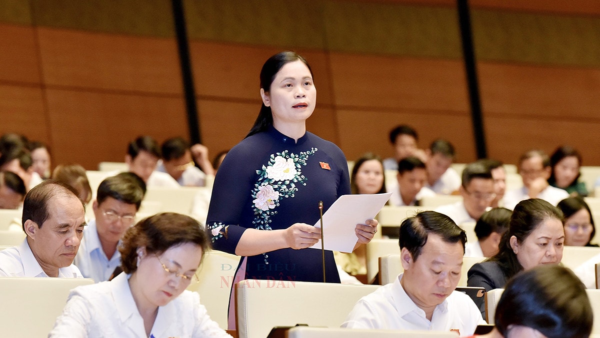 Bám sát thực tế cơ sở để xác định mô hình quản lý phù hợp, hiệu quả -0
