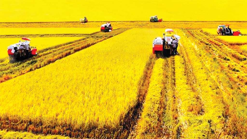 Cân nhắc việc chuyển nhượng vốn góp -0