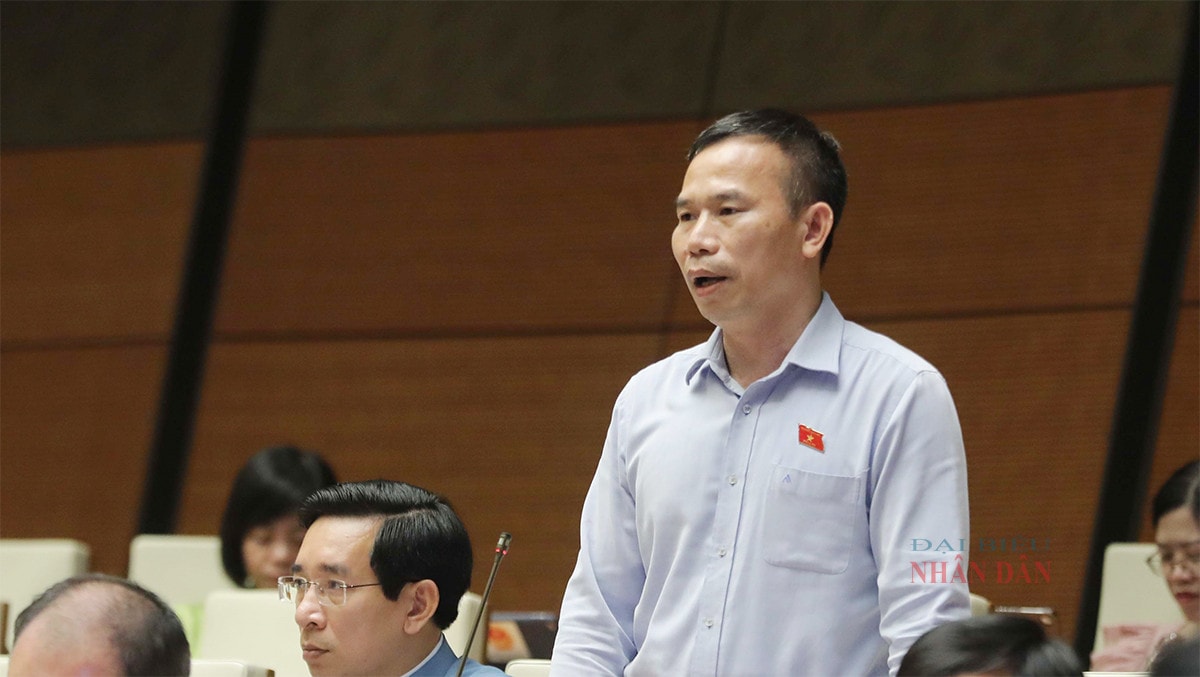 Kiểm soát chặt chẽ hơn tính hợp lý, hợp pháp của các văn bản dưới luật -0