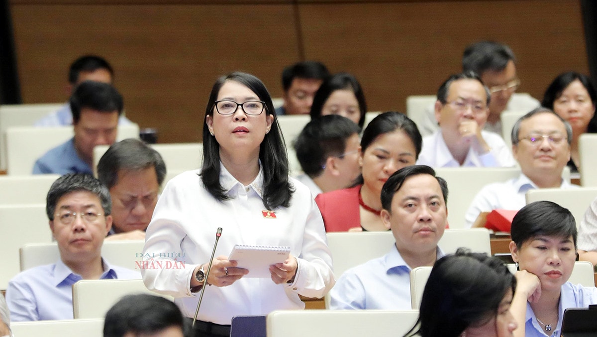 Kiểm soát chặt chẽ hơn tính hợp lý, hợp pháp của các văn bản dưới luật -0