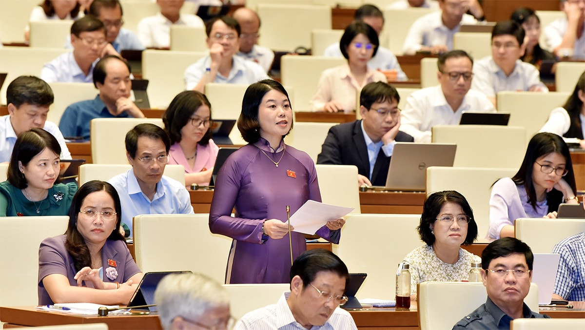ĐBQH Nguyễn Thị Huế (Bắc Kạn): Quan tâm đầu tư cơ sở hạ tầng đối với các xã khu vực an toàn khu -0