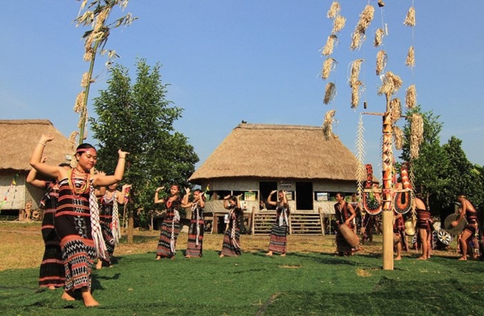 Tổ chức 