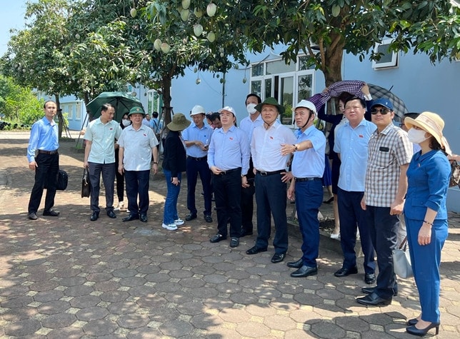 Thường trực Ủy ban Khoa học, công nghệ và môi trường khảo sát thực tế khai thác, sản xuất, kinh doanh nước sạch tại Hà Nội -0