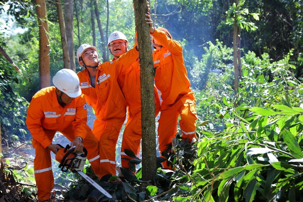 Công ty Điện lực Thanh Hóa ra quân giải phóng hành lang an toàn lưới điện năm 2023 -0
