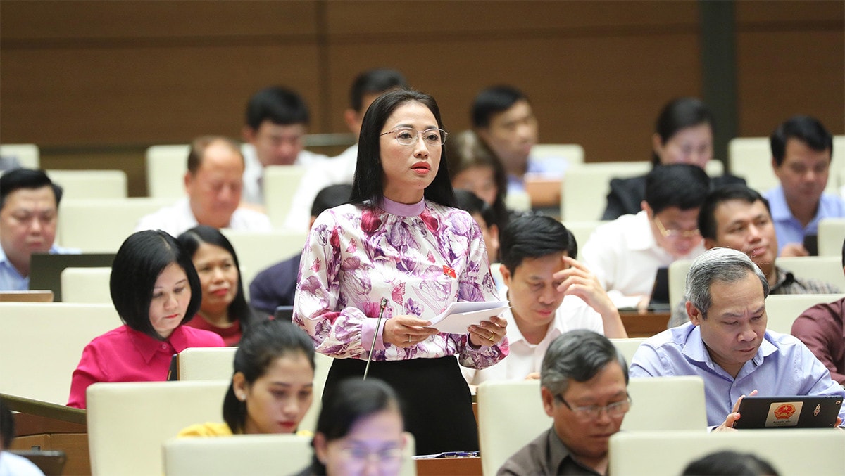 ĐBQH Trần Khánh Thu (Thái Bình): Cần có chính sách đặc thù ưu đãi để thu hút nhà đầu tư về y tế -0