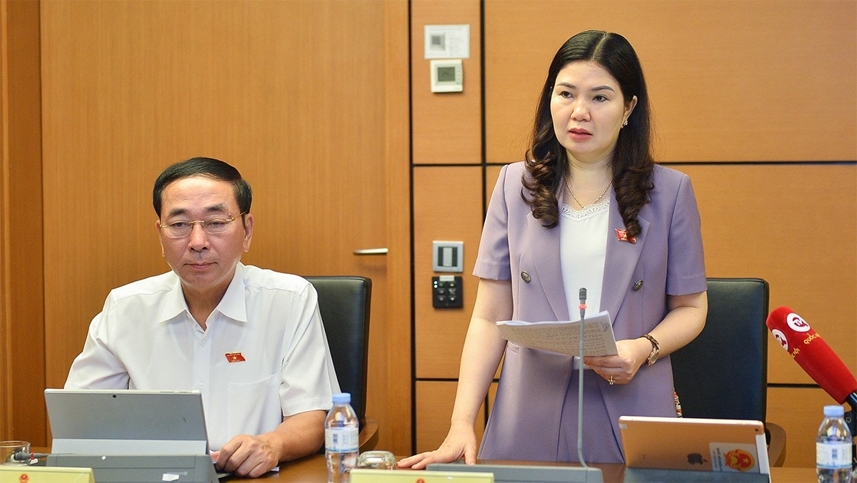 ĐBQH Trần Thị Vân (Bắc Ninh): Nhiều khái niệm trong dự thảo Luật đất đai (sửa đổi) chưa có nội dung giải thích rõ ràng -0
