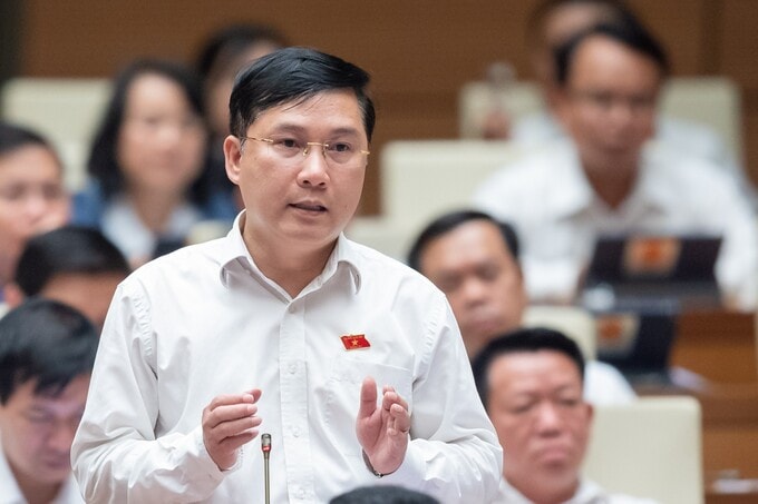 ĐBQH Lê Hoàng Anh (Gia Lai): Tập đoàn tài chính phải được đặt dưới sự giám sát chặt chẽ của Chính phủ -0