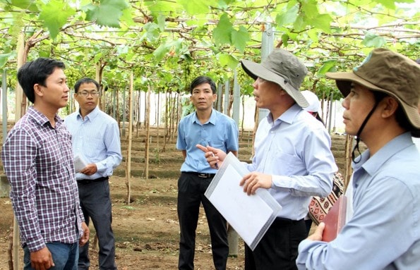 Thúc đẩy bảo tồn văn hóa, phát triển kinh tế - 0
