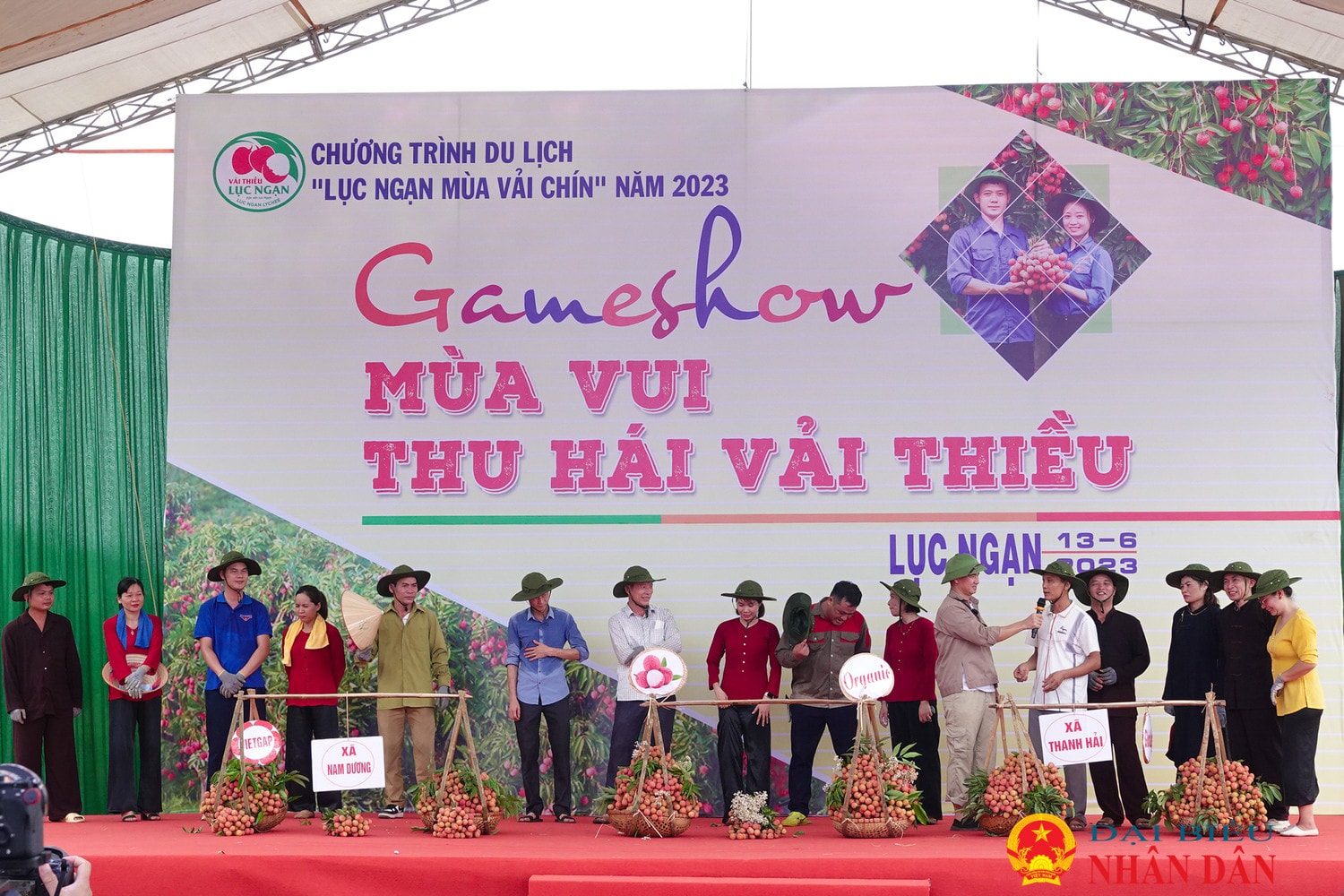 Bắc Giang: Sôi động cuộc thi hái và bó vải ở Lục Ngạn
