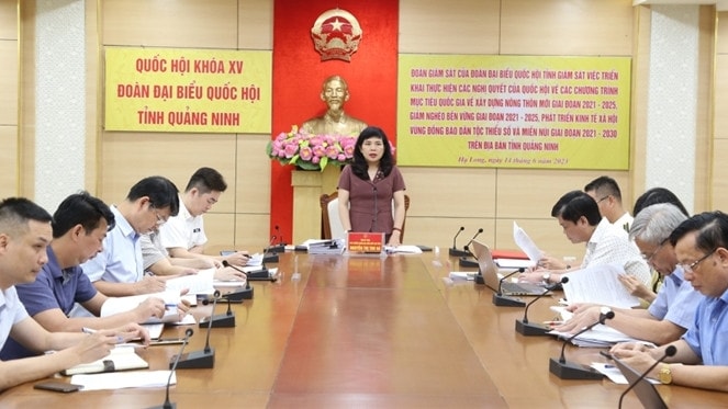 Đoàn ĐBQH tỉnh Quảng Ninh giám sát việc triển khai thực hiện các chương trình mục tiêu quốc gia trên địa bàn ảnh 1