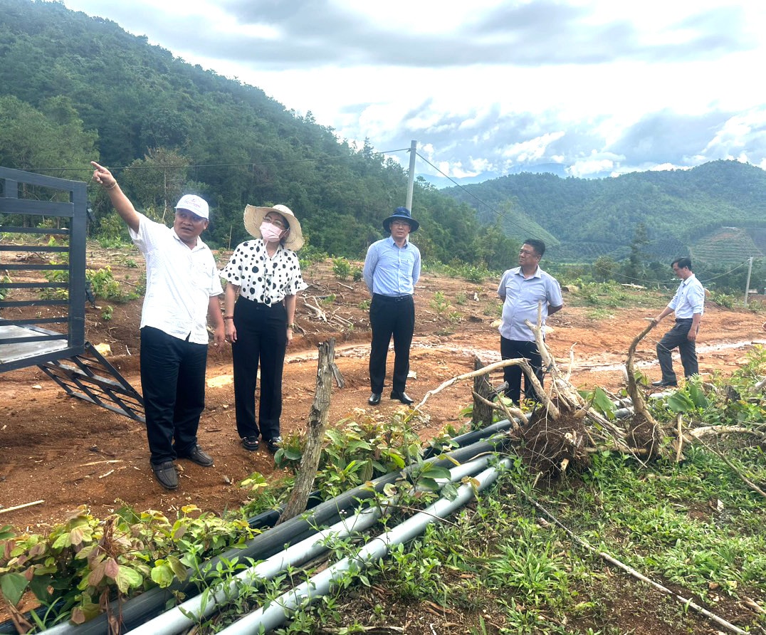 Thường trực HĐND tỉnh Khánh Hòa khảo sát thực tế nhu cầu sử dụng nước và sự cần thiết đầu tư hồ chứa nước tại xã Sơn Bình, huyện Khánh Sơn - ẢNH HẢI LĂNG