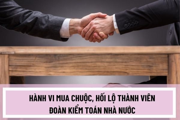 Xác định hành vi mua chuộc, hối lộ, cản trở công việc trong hoạt động kiểm toán -0