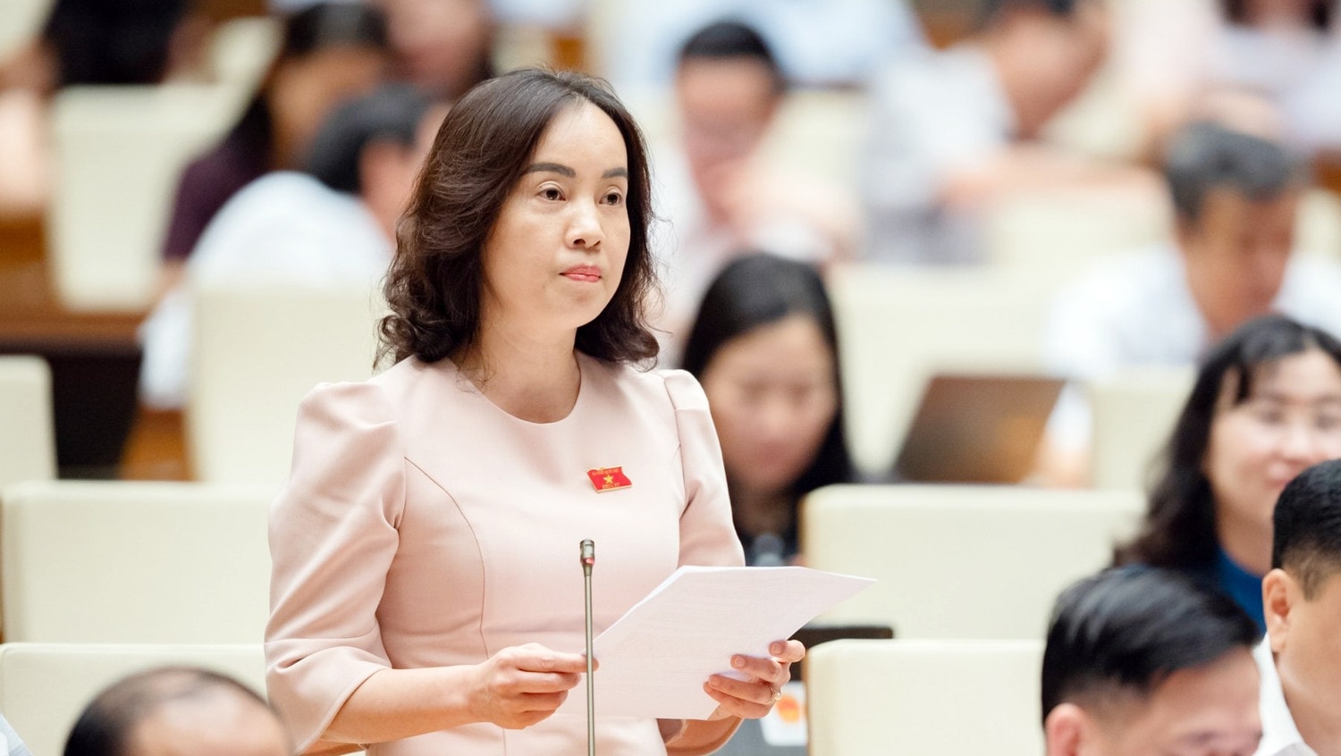 Bảo vệ, kiểm soát nghiêm ngặt diện tích đất trồng lúa, đất rừng đặc dụng -0
