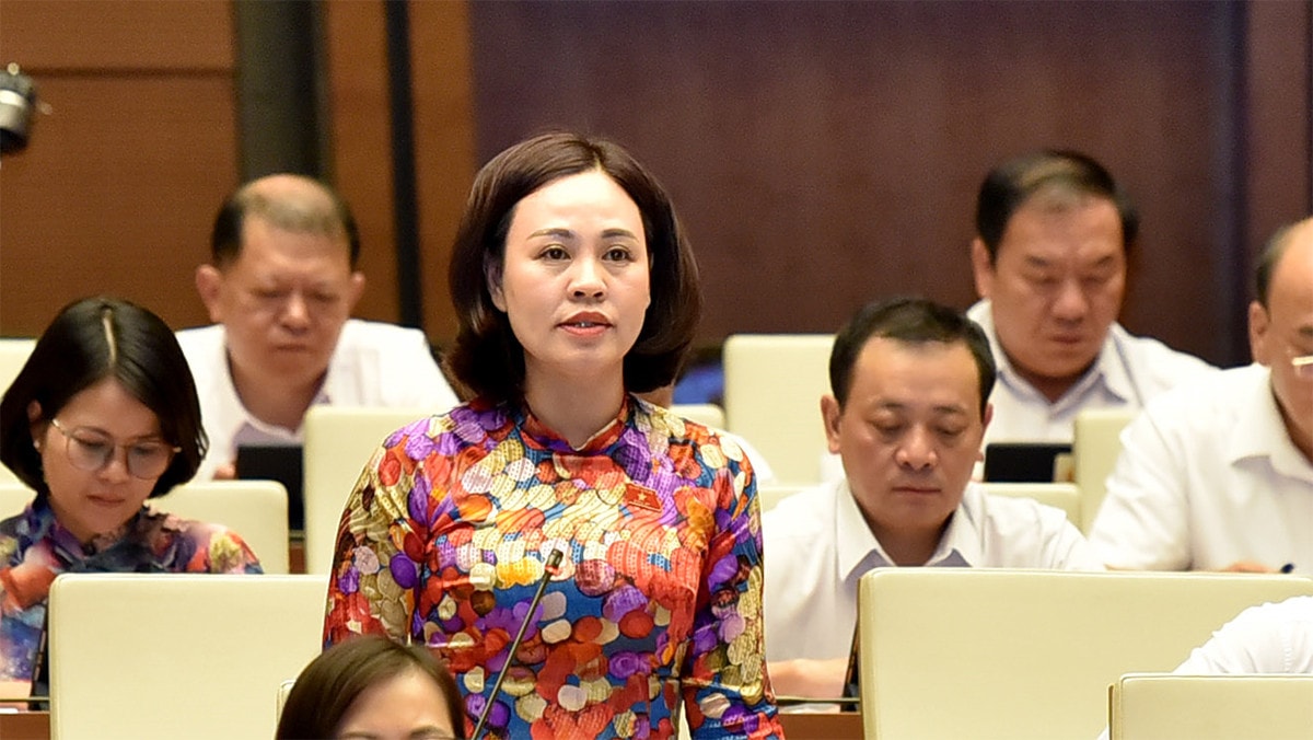 Bảo vệ, kiểm soát nghiêm ngặt diện tích đất trồng lúa, đất rừng đặc dụng -0
