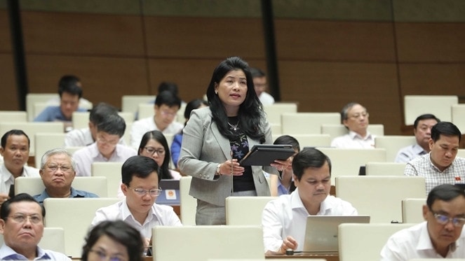 Đại biểu Quốc hội Đàng Thị Mỹ Hương (Ninh Thuận) phát biểu thảo luận tại hội trường về kết quả giám sát việc giải quyết, trả lời kiến nghị của cử tri - ẢNH HỒ LONG