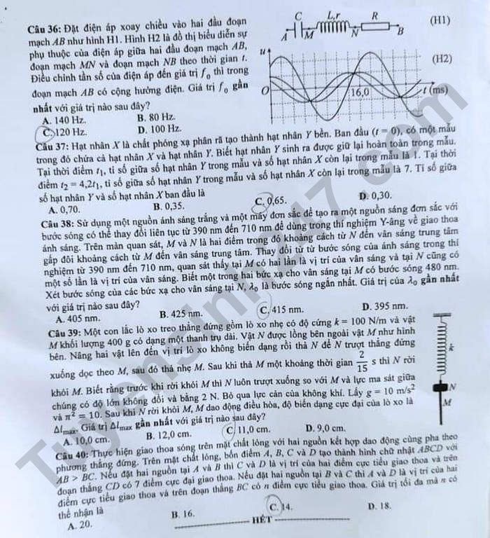 Đề thi môn Sinh, Vật lí tốt nghiệp THPT 2023 -3