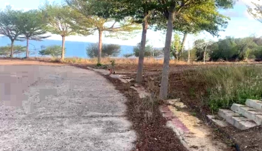 Đóng tiền tỷ mua đất nền tại dự án Sunny Villa, 12 năm mòn mỏi chờ “sổ đỏ”