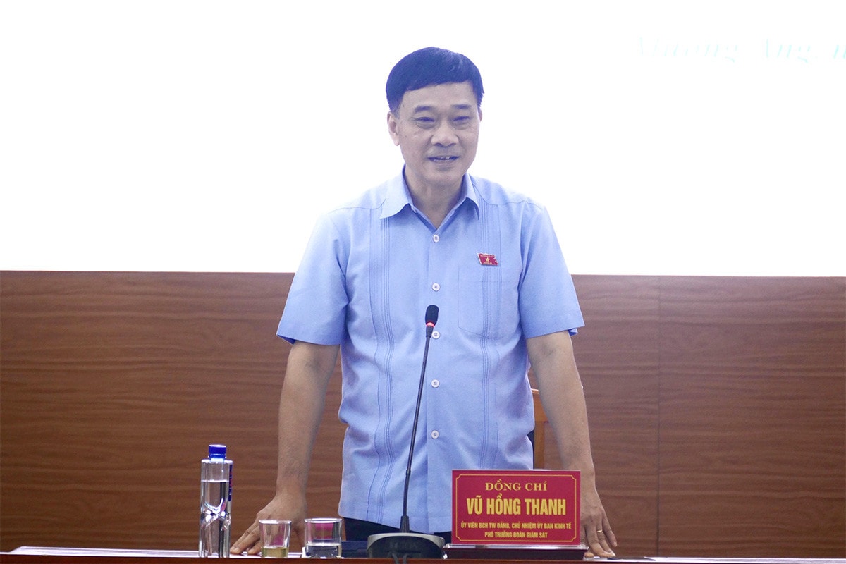 Đoàn giám sát của Quốc hội làm việc tại huyện Mường Ảng, tỉnh Điện Biên -1