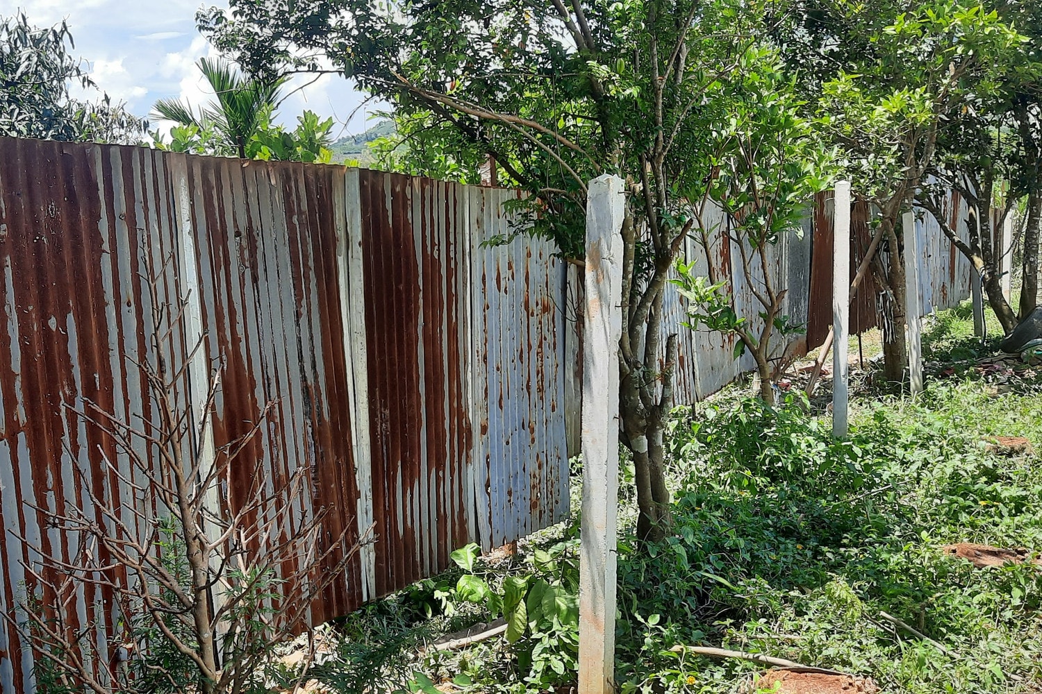 Cần xử lý nghiêm việc xây tường rào không phép trên đất nông nghiệp dù UBND xã yêu cầu giữ nguyên hiện trạng -0