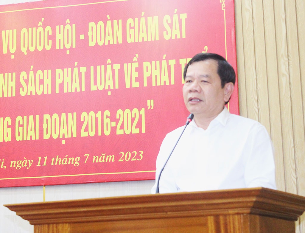 Đoàn giám sát về phát triển năng lượng làm việc với tỉnh Quảng Ngãi -0