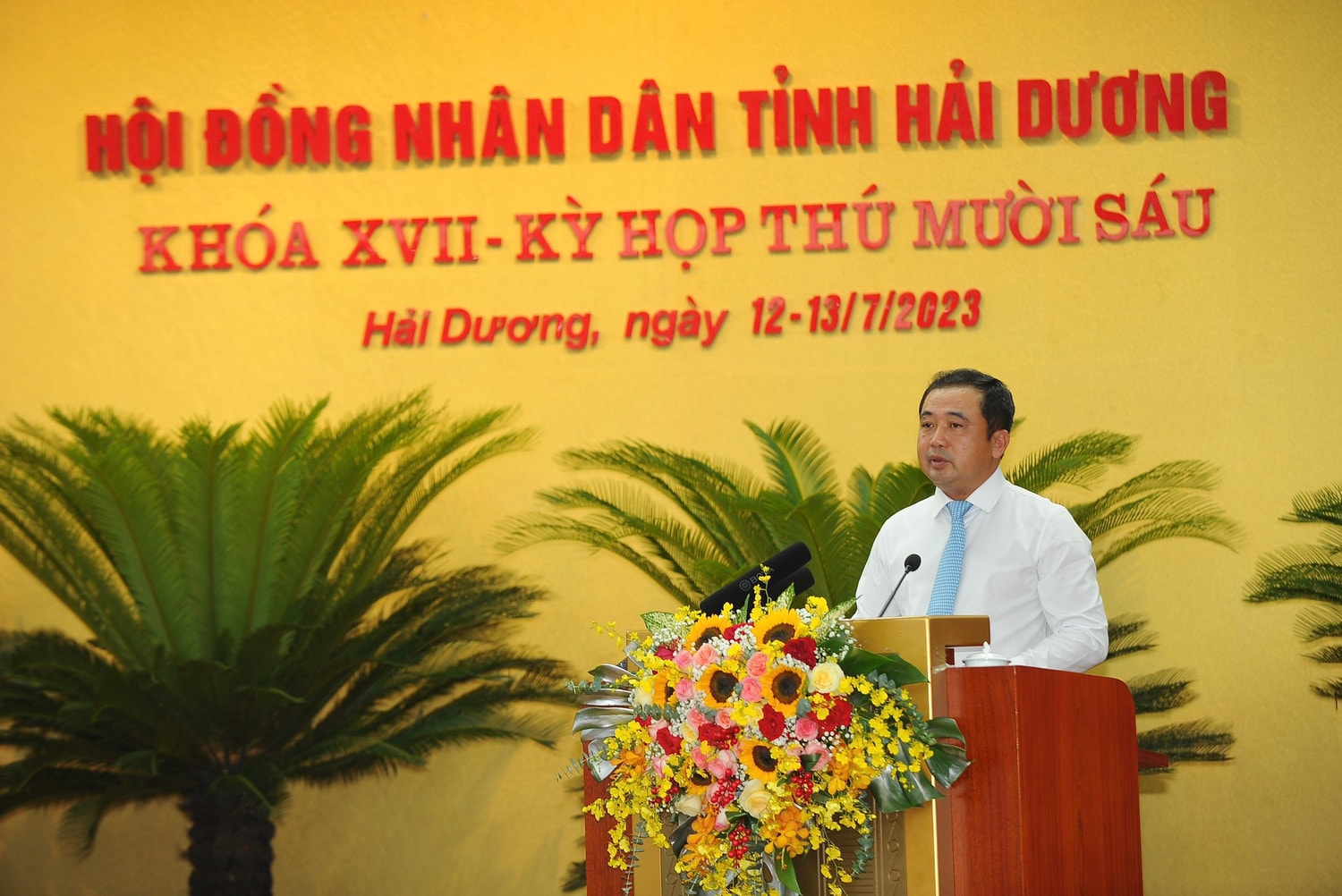 Tháo gỡ 