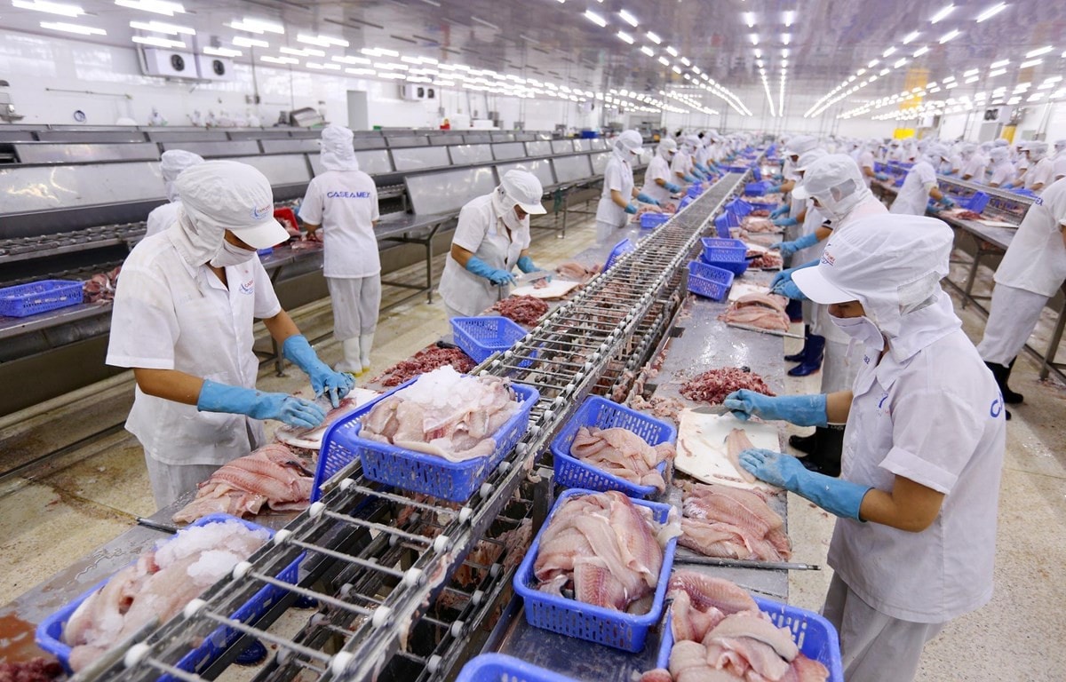 Kinh tế Việt Nam hưởng lợi ra sao khi Anh gia nhập CPTPP? -0