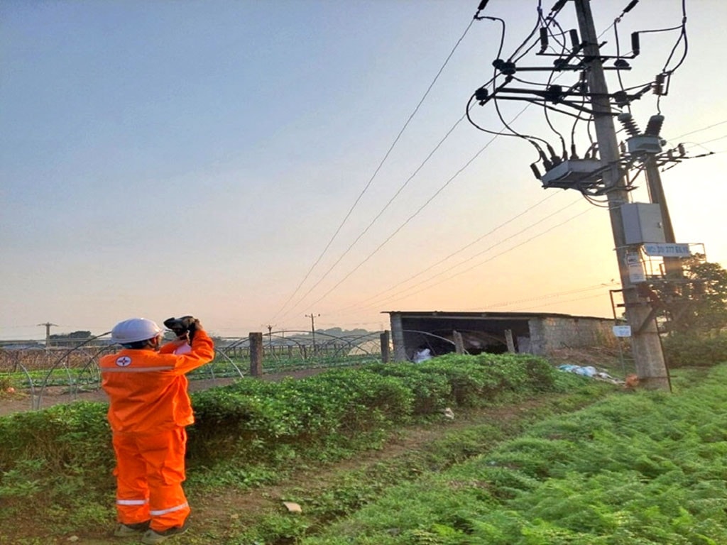 Đẩy mạnh ứng dụng khoa học công nghệ và thực hiện chuyển đổi số -0