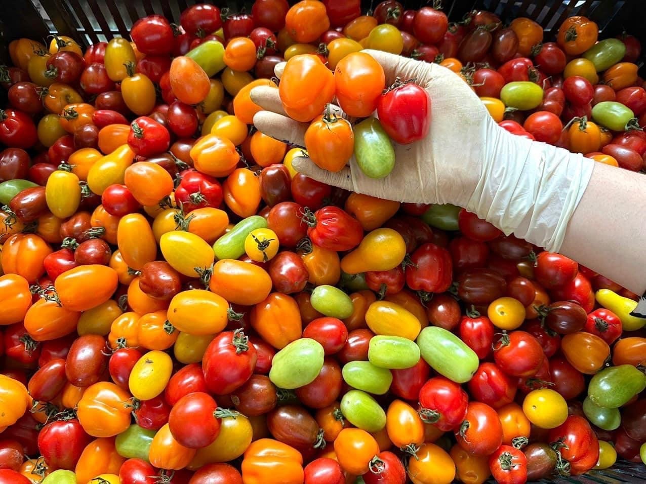 Nông sản sạch từ các trang trại hữu cơ được bày bán tại Hội chợ Hội chợ