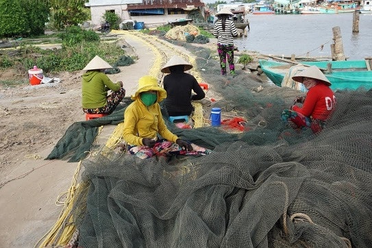 Cà Mau: Trên 25 nghìn lao động được giải quyết việc làm -0