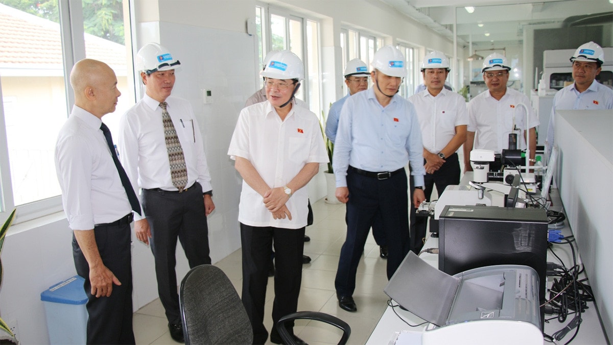 Phó Chủ tịch Quốc hội Nguyễn Đức Hải làm việc với Công ty Xăng dầu Khu vực II về phát triển năng lượng -4
