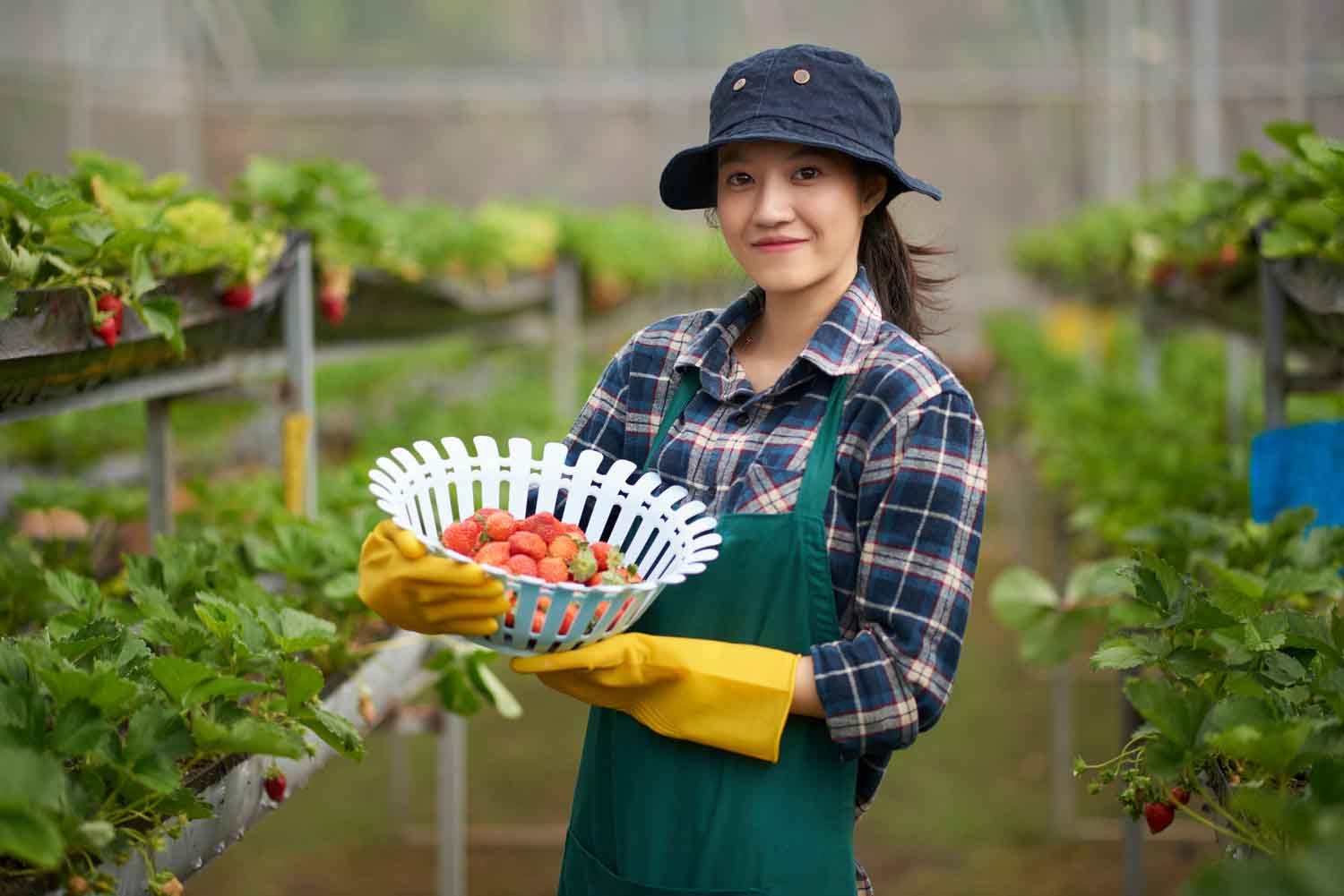 Vay vốn lãi suất hấp dẫn chỉ từ 7%/năm tại BIDV dành cho cá nhân -0