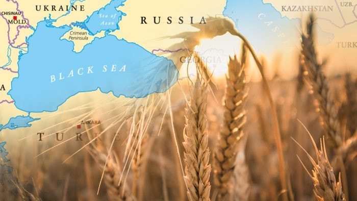 Ngũ cốc của Ukraine được vận chuyển qua Biển Đen - Ảnh: BIMCO