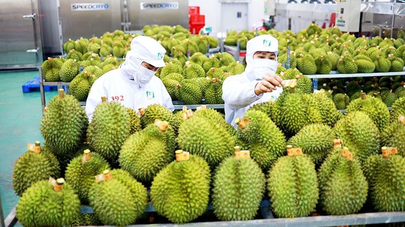 7 tháng đầu năm 2023 xuất khẩu rau quả vượt ngưỡng cả năm 2022 -0