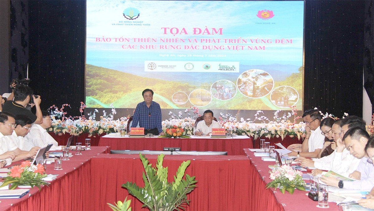 Tạo một nền kinh tế dưới tán rừng -3