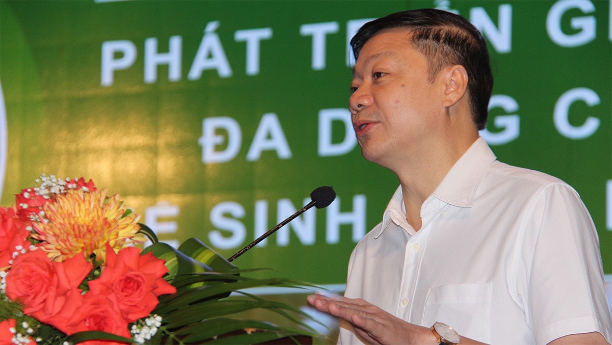 Tạo một nền kinh tế dưới tán rừng -0