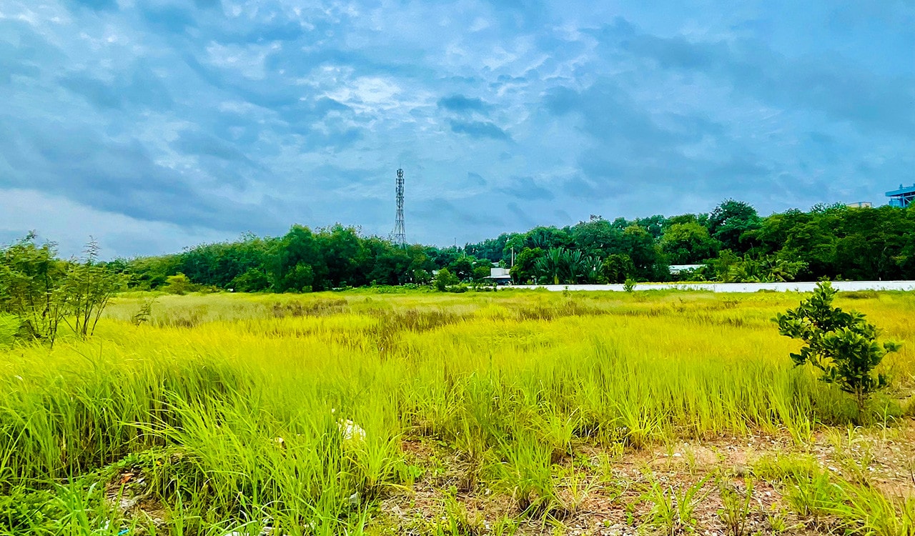 Cận cảnh hai dự án 