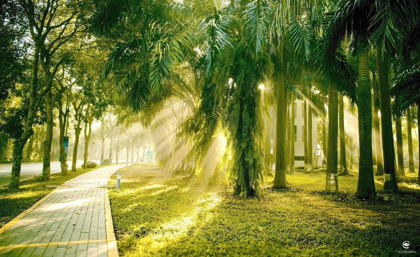 Sự đắt giá đằng sau những khu đô thị 6 sao tiên phong của Việt Nam -0