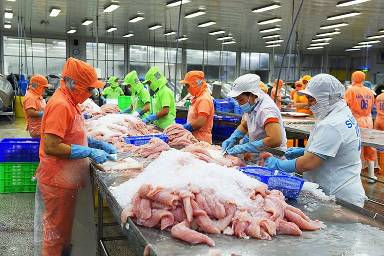 Xuất khẩu thủy sản sang UAE còn nhiều dư địa -0