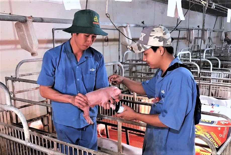 Đẩy mạnh ứng dụng công nghệ trong công tác thú y giai đoạn 2023-2030 -0
