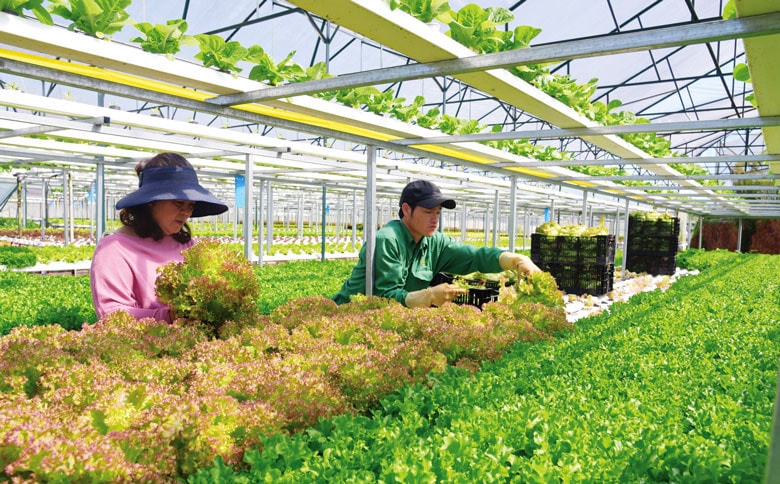 Lâm Đồng dẫn đầu các tỉnh Tây Nguyên về xây dựng nông thôn mới - Ảnh: baolamdong.vn