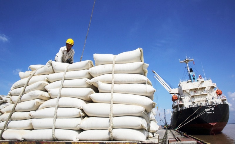 TP. Hồ Chí Minh: Nghị quyết 98 sẽ thúc đẩy nâng cao hiệu quả công tác cải cách hành chính