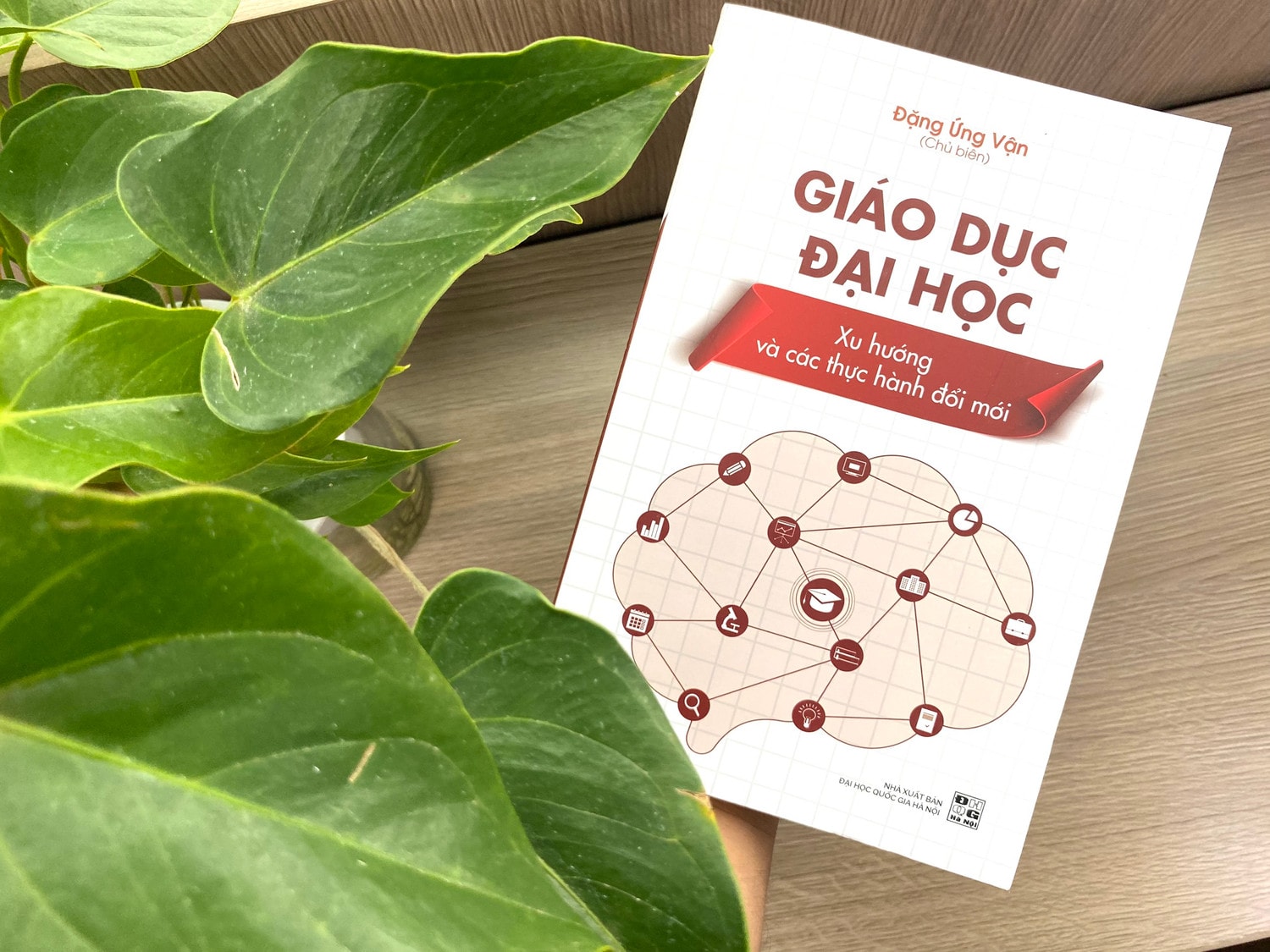 Giới thiệu cuốn sách “Giáo dục đại học: Xu hướng và các thực hành đổi mới” -0