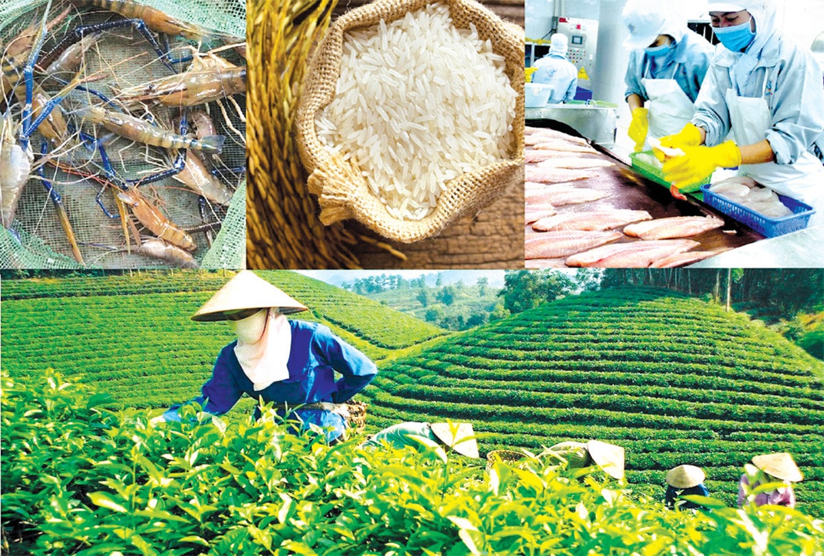 Hỗ trợ người dân, doanh nghiệp vượt khó, tận dụng cơ hội thị trường -0