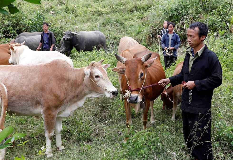 Hội thảo khoa học cấp quốc gia “Tín dụng chính sách xã hội với vấn đề thực hiện và bảo đảm an sinh xã hội” -0