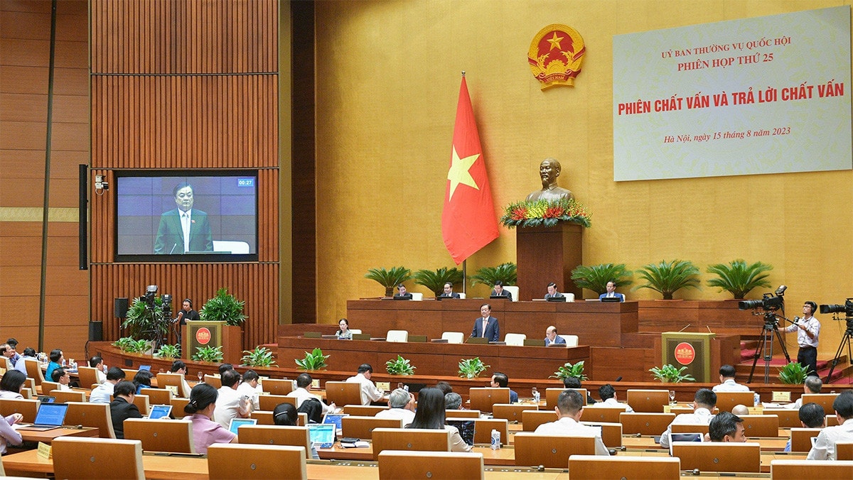 Xin thôi “giải cứu” 